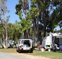 Elliston Caravan Park - Lennox Head Accommodation