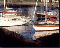 Boat Harbour Motel & Anchorage Restaurant - Lennox Head Accommodation 1