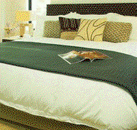 Sea Temple Resort  Spa - Lennox Head Accommodation