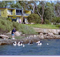 Almonta Holiday Apartments - Lennox Head Accommodation