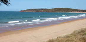 Mango Tree Motel - Lennox Head Accommodation 4
