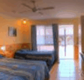 Best Western Twin Towns Motel - Lennox Head Accommodation