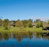 Sanctuary Park Cottages - Lennox Head Accommodation