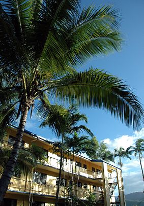 Palms At Trinity - Lennox Head Accommodation 3
