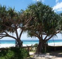 Pacific Surf Absolute Beachfront Apartments - Lennox Head Accommodation