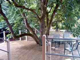 Magnolia House Marysville - Lennox Head Accommodation 0