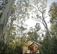 Paperbark Camp - Lennox Head Accommodation