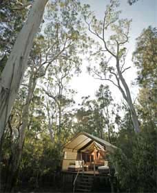 Paperbark Camp - Lennox Head Accommodation 0