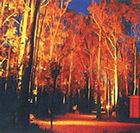 Dwellingup Chalet amp Caravan Park - Lennox Head Accommodation