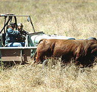 Bullo River Station - Lennox Head Accommodation