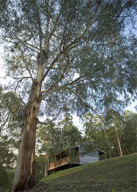 Ada VIC Lennox Head Accommodation