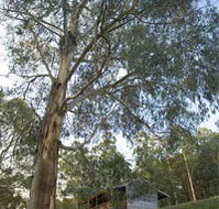 Outpost Restaurant - Lennox Head Accommodation