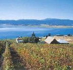 Marions Vineyard  - Lennox Head Accommodation