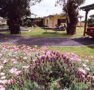Brigadoon Holiday Units - Lennox Head Accommodation
