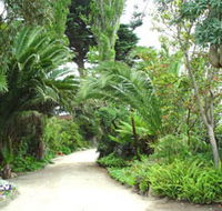 Seacove On The Beach - Lennox Head Accommodation