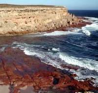 Coodlie Park - Lennox Head Accommodation