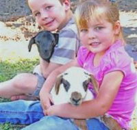 Mansfield Park - Lennox Head Accommodation