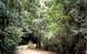 Mt Glorious Getaway Cottages And Conference Centre - thumb 0