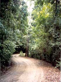 Mt Glorious Getaway Cottages And Conference Centre - Lennox Head Accommodation 0