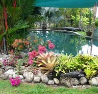 Daintree Wild Bed And Breakfast - Lennox Head Accommodation