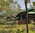 Arnhemland Barramundi Nature Lodge - Lennox Head Accommodation