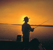 Point Stuart Wilderness Lodge - Lennox Head Accommodation