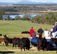 Bonny Brae - Lennox Head Accommodation