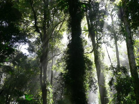 Alcheringa Holiday House - Lennox Head Accommodation 6