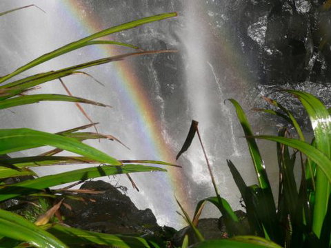 Alcheringa Holiday House - Lennox Head Accommodation 7