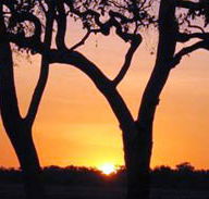 Coodardie Station Stay - Lennox Head Accommodation