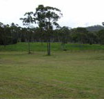 Mt White Lodge - Lennox Head Accommodation