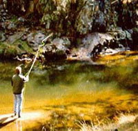 Markdale Homestead - Lennox Head Accommodation