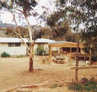 Angorichina Tourist Village - Lennox Head Accommodation