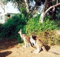 Avoca Dell Caravan Park - Lennox Head Accommodation