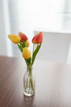 Easystay Apartments Raglan Street - Lennox Head Accommodation 11