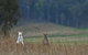 Emirates One&Only Wolgan Valley Australia - thumb 31