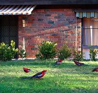 Crimson Villa - Lennox Head Accommodation