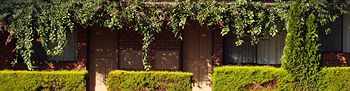 Nunawading Motor Inn - Lennox Head Accommodation 30