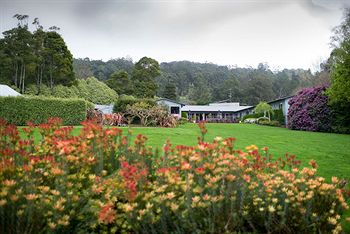 CountryPlace - Lennox Head Accommodation 8