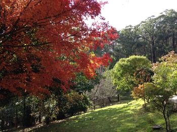 Brentwood Accommodation - Lennox Head Accommodation 43