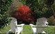 Brentwood Accommodation - thumb 59