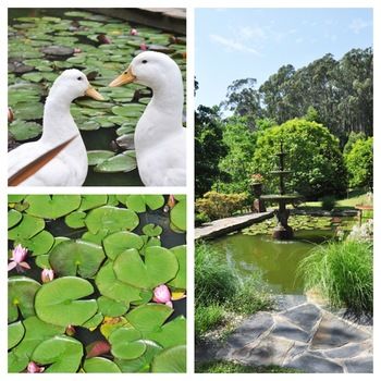 Brentwood Accommodation - Lennox Head Accommodation 65