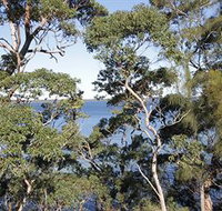 The Edgewater Bed amp Breakfast - Lennox Head Accommodation