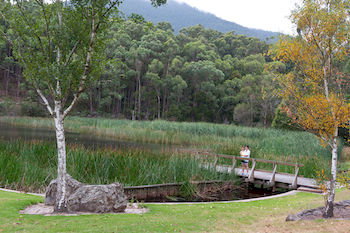BIG4 Yarra Valley Holiday Park - Lennox Head Accommodation 12
