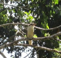 Sunshine Valley Cottages - Lennox Head Accommodation