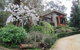 Cherryblossom B&B - thumb 0