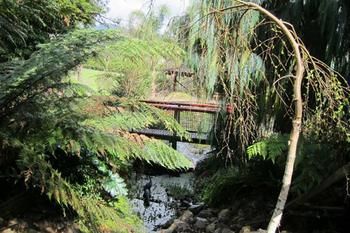 Cherryblossom B&B - Lennox Head Accommodation 5