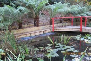 Cherryblossom B&B - Lennox Head Accommodation 7