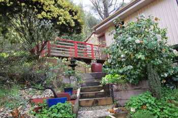 Cherryblossom B&B - Lennox Head Accommodation 12