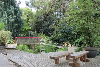 Cherryblossom B&B - Lennox Head Accommodation 21